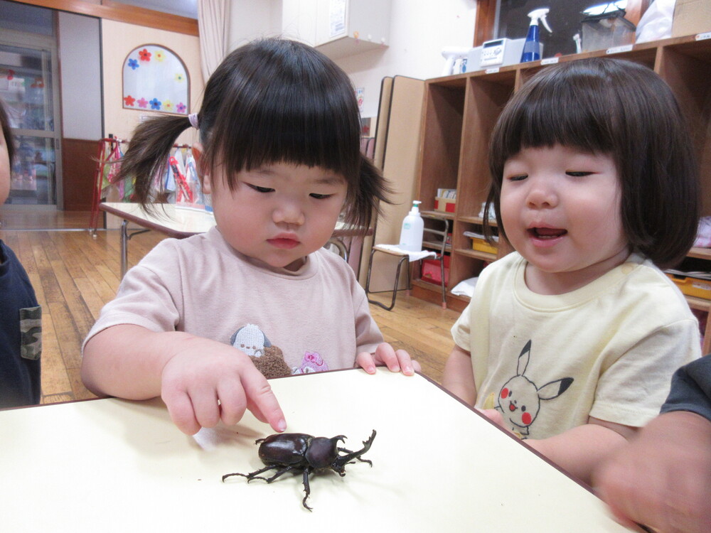 園内散歩の様子