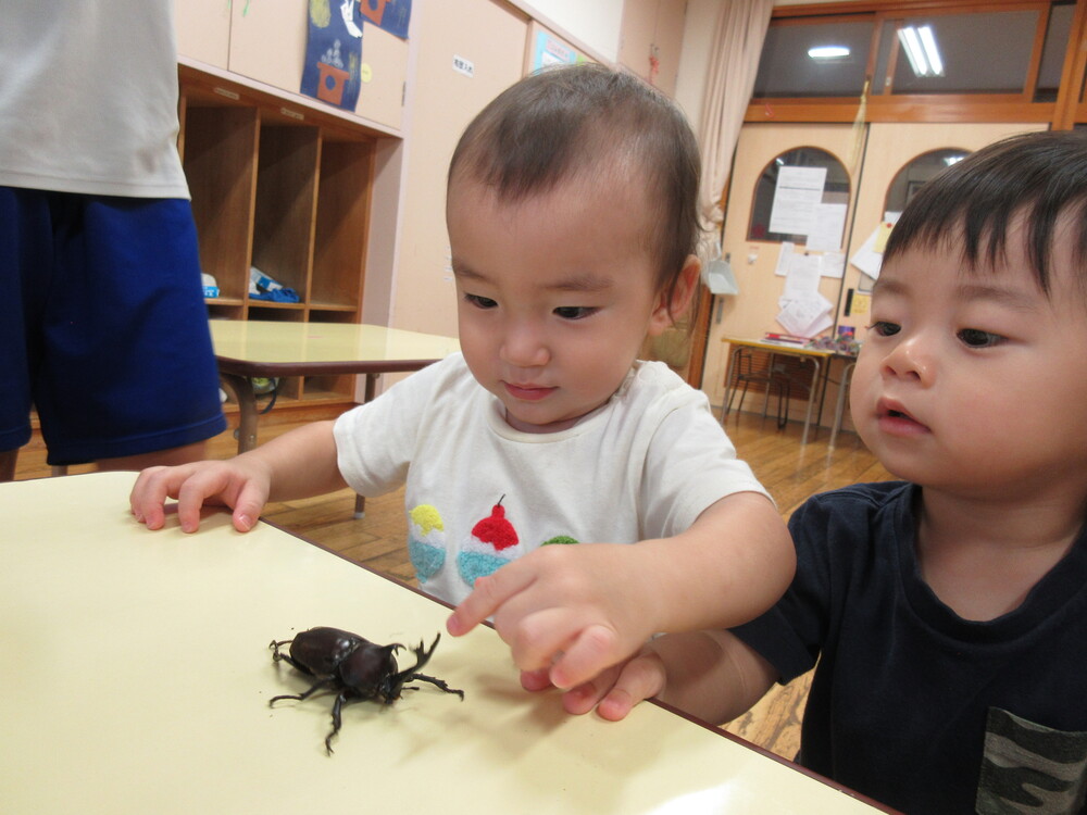 園内散歩の様子