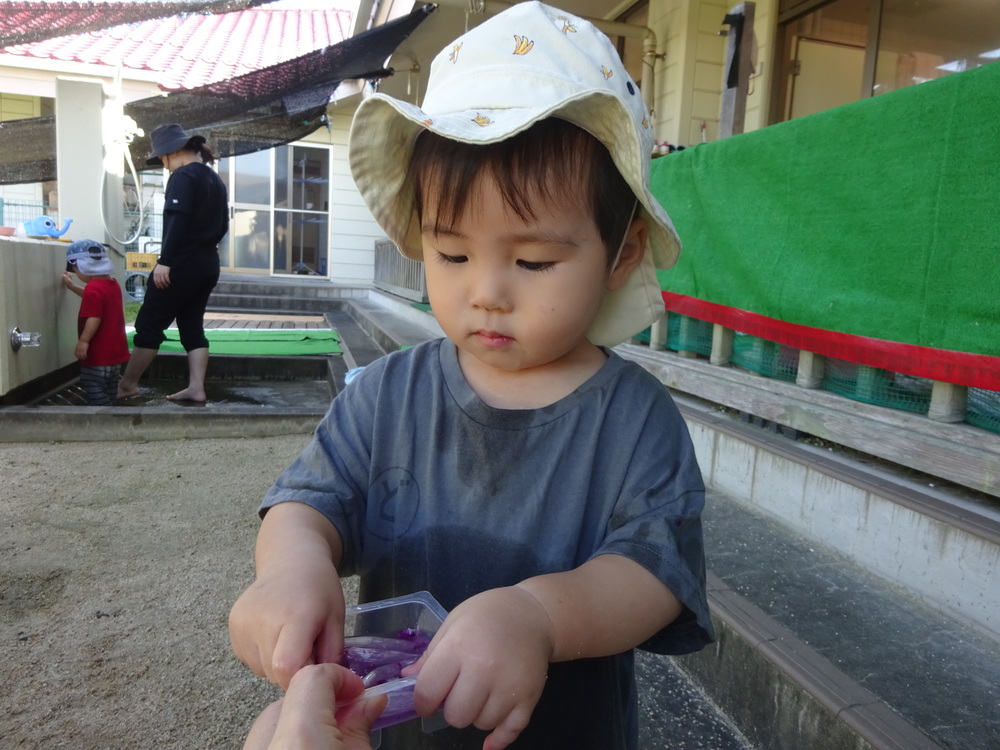 色水遊びをしている子ども (4)