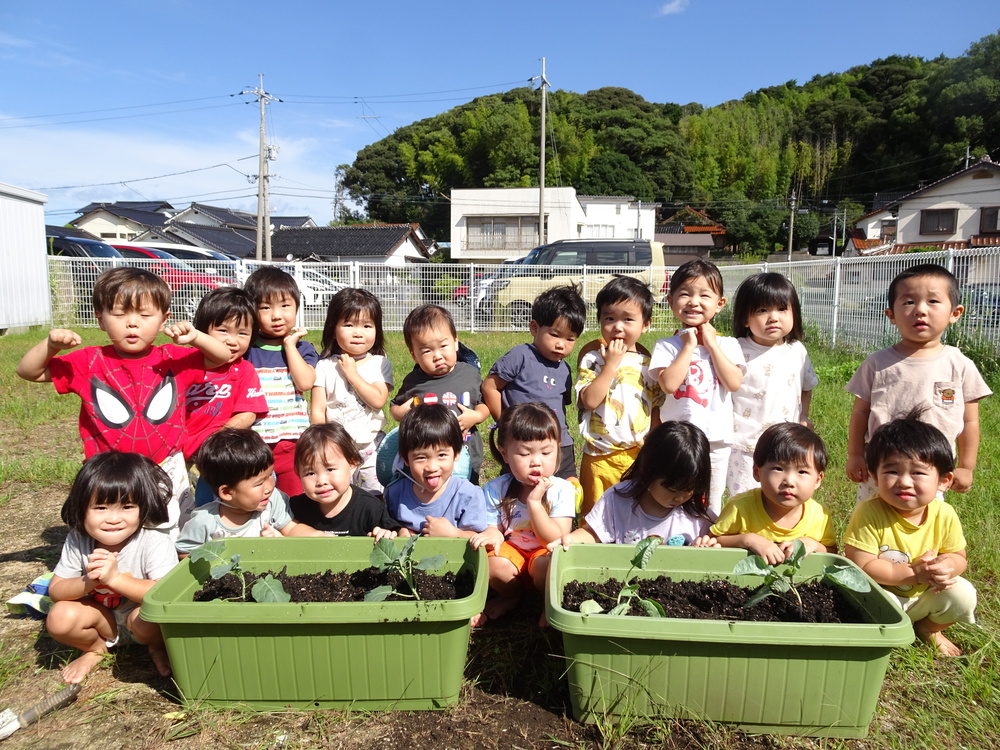 野菜の苗植え (9)