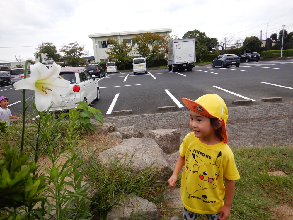 ユリの花を見つめる女の子