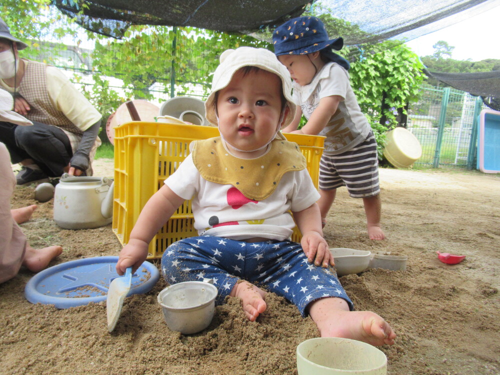 園庭で遊んでいる (4)