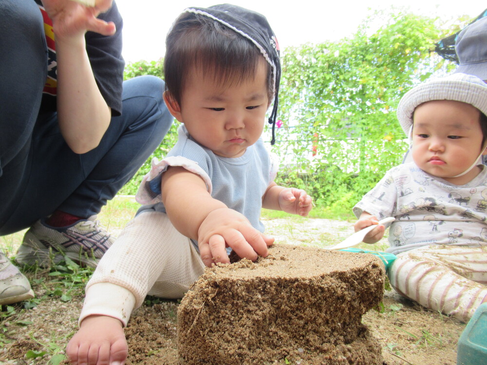 園庭で遊んでいる (5)