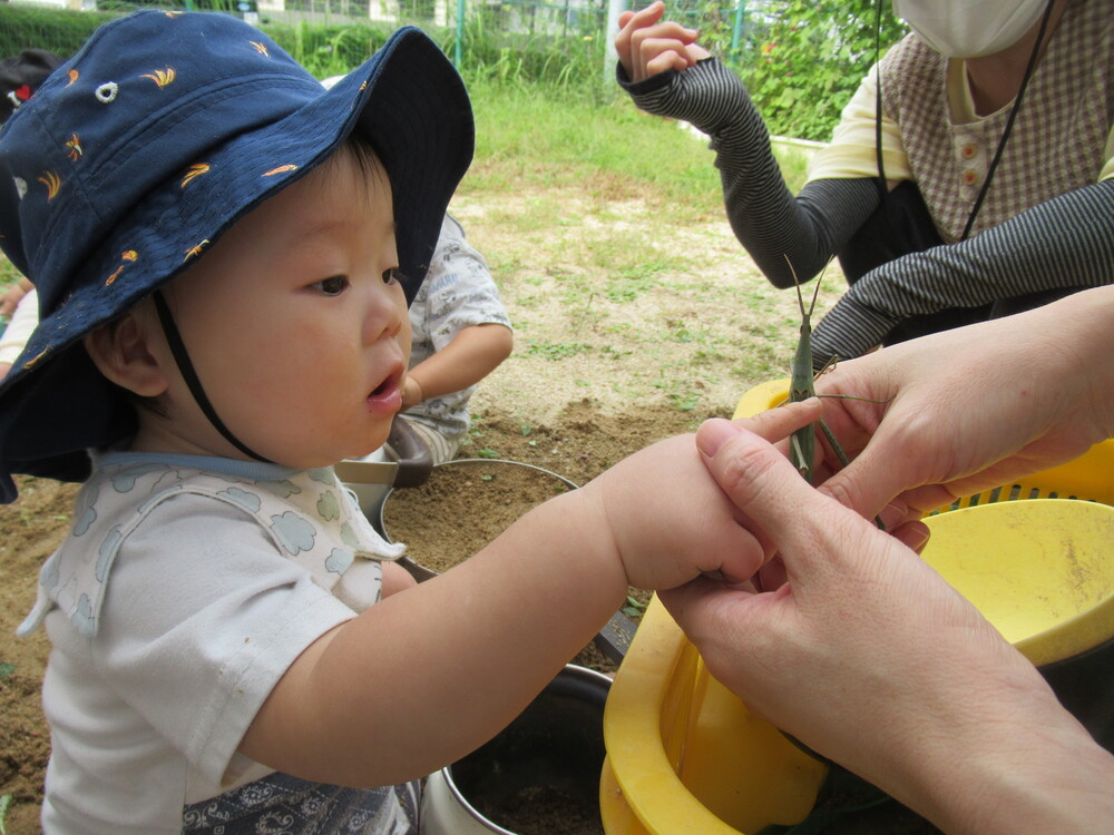 園庭で遊んでいる (9)
