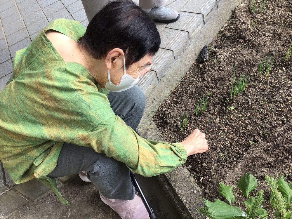 草抜き