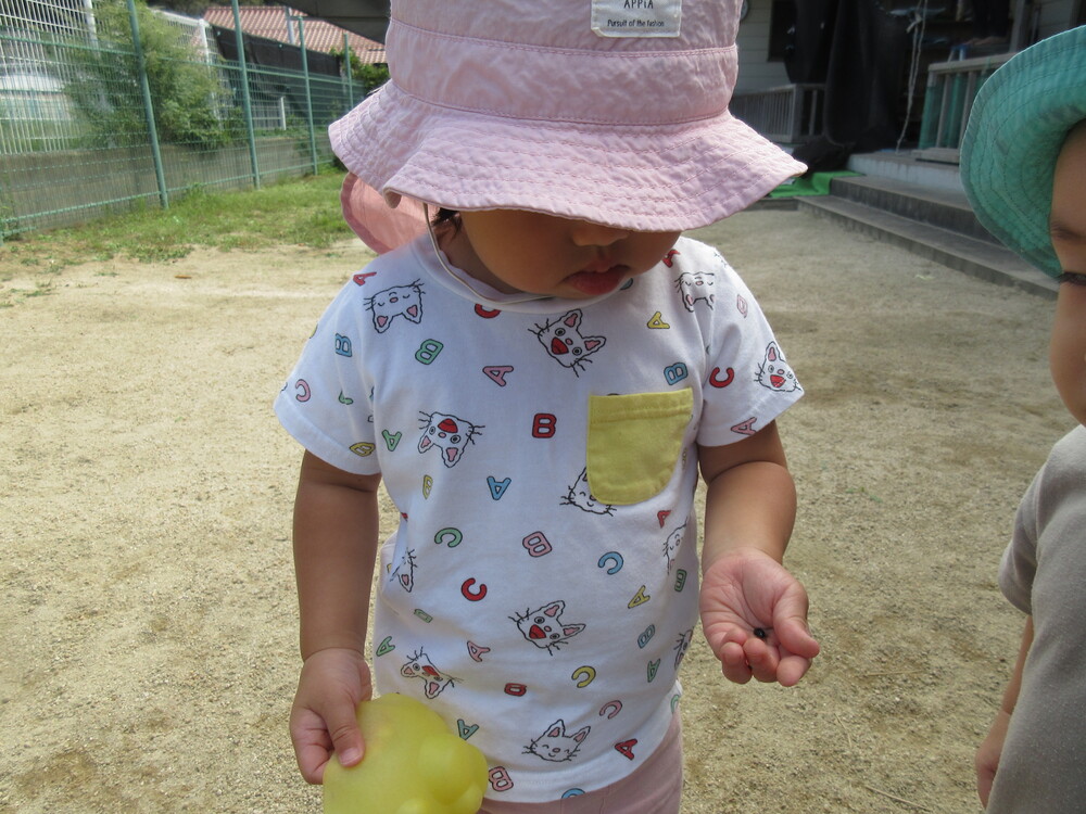 園庭遊びをしている (5)