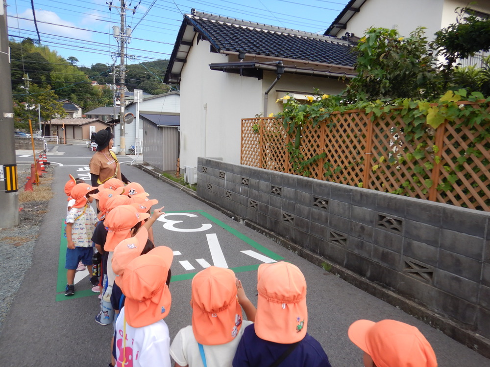 ヘチマ
