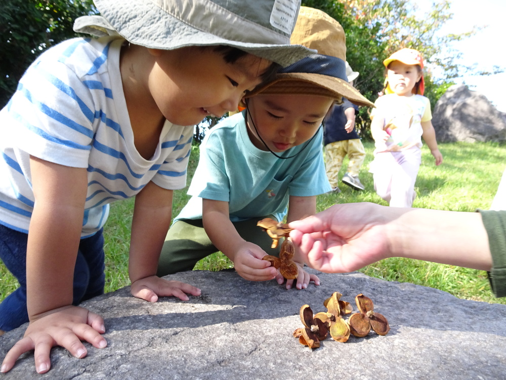 宮崎公園 (4)