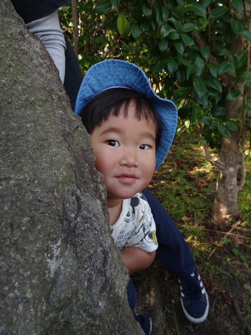 宮崎公園 (5)