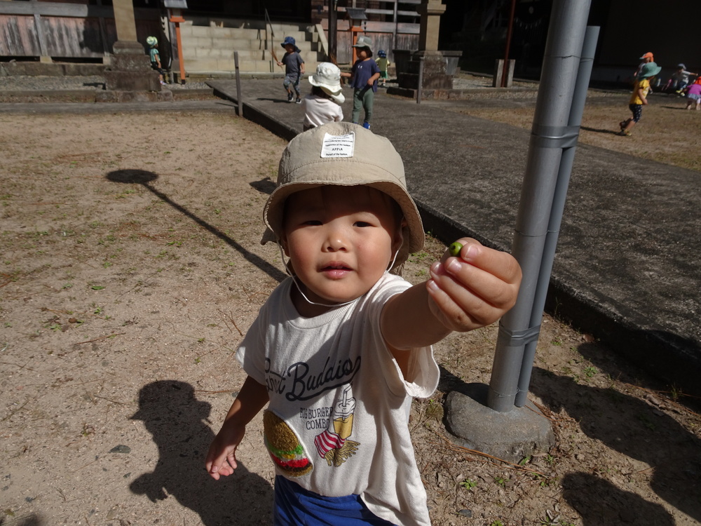 フォークアート (14)