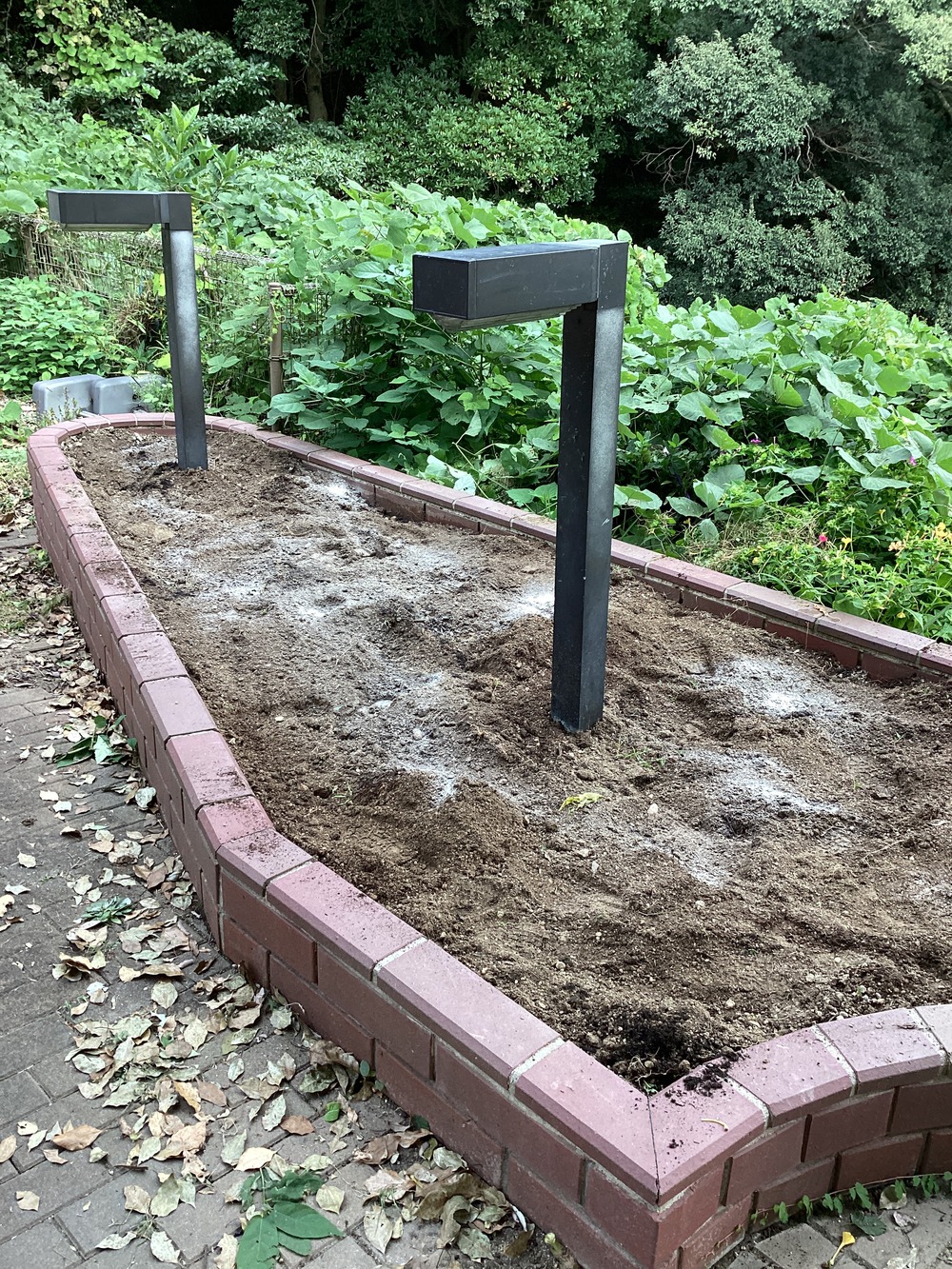 園芸活動