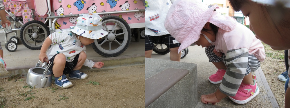 虫を見つけている