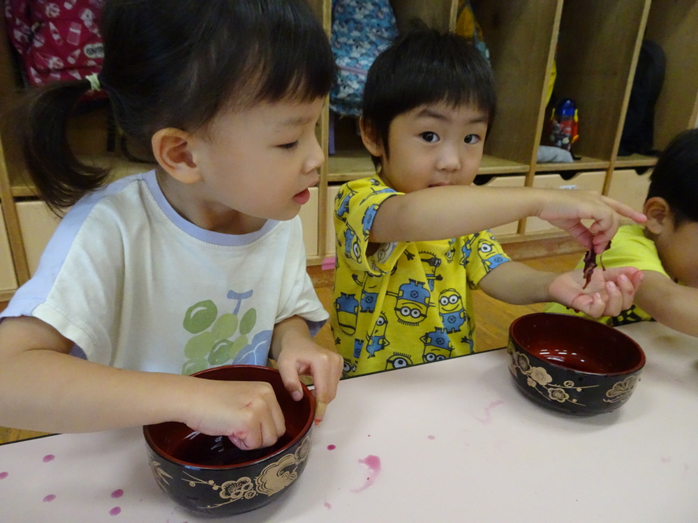 朝顔の染め布 (2)