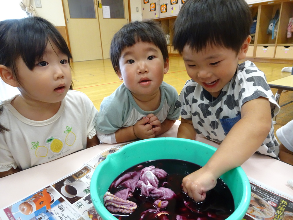 朝顔の染め布 (5)