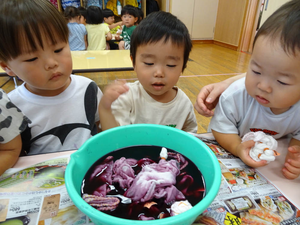 朝顔の染め布 (6)