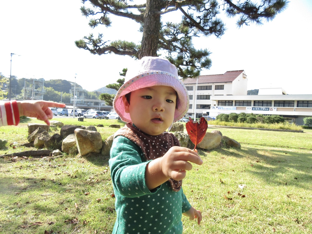お散歩の様子