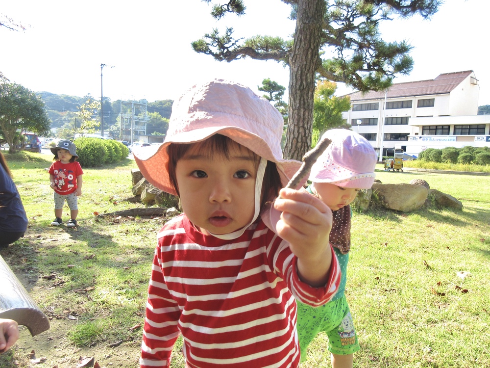 お散歩の様子