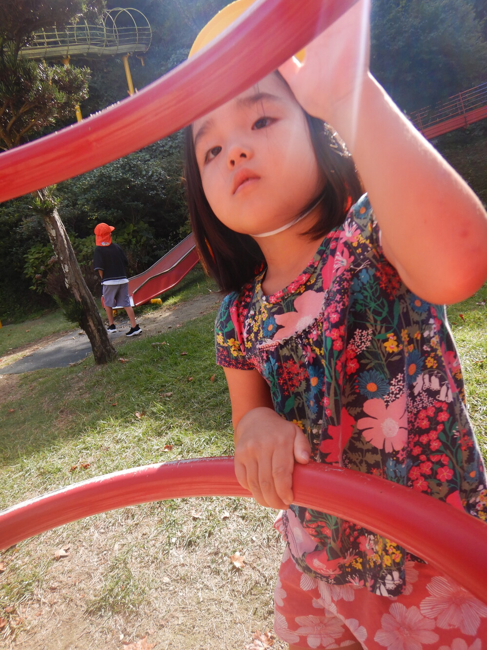 公園での様子