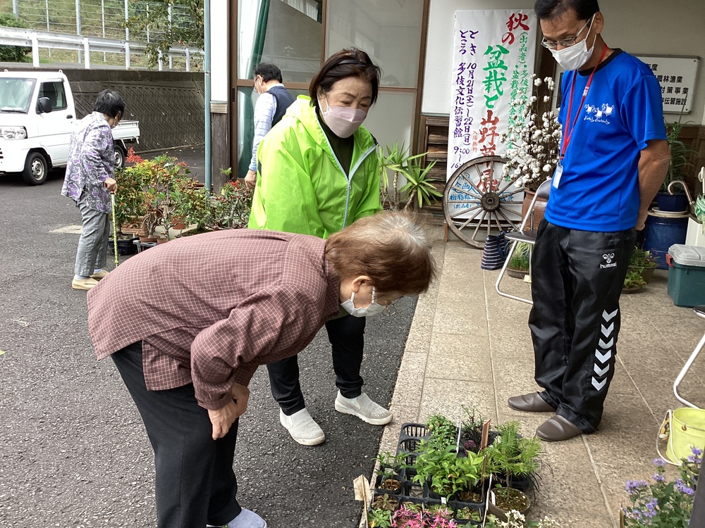 展示
