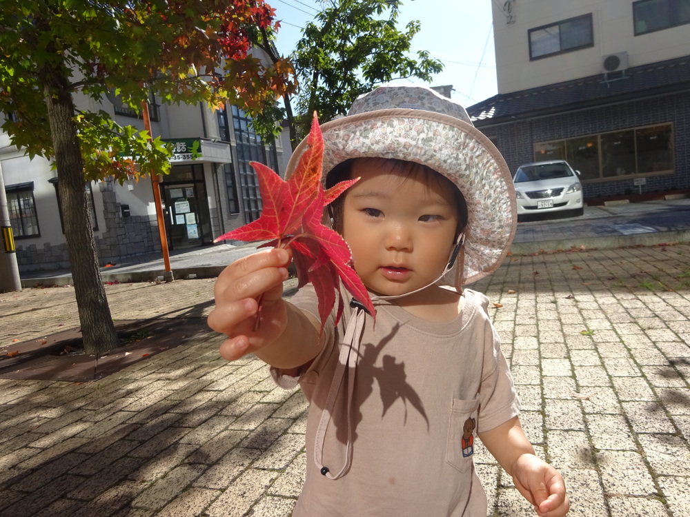 葉っぱを拾っている子ども (3)