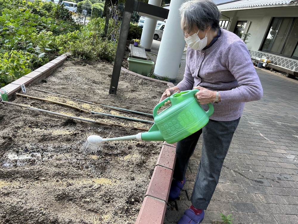 水やり