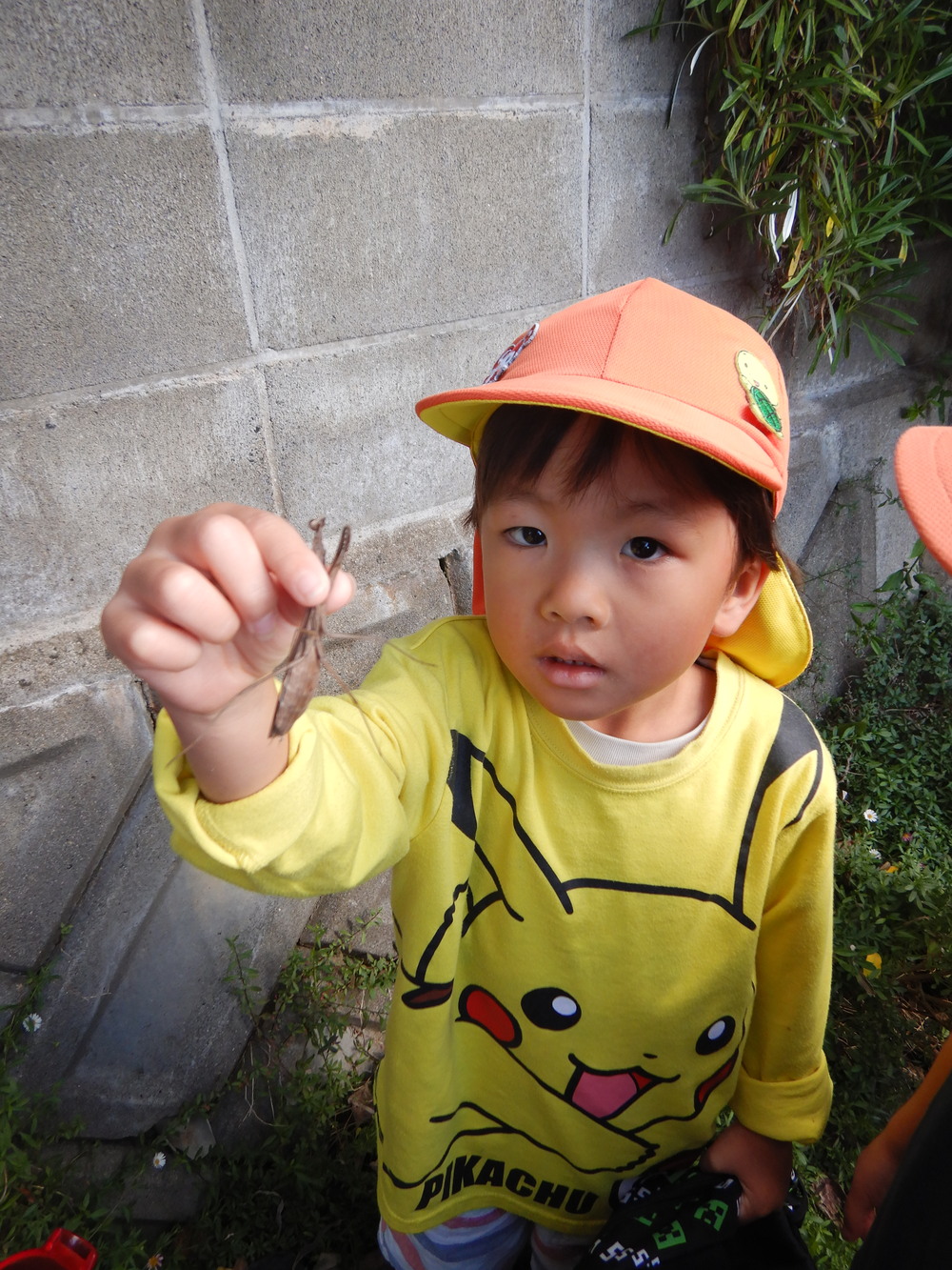 カマキリを捕まえる子ども