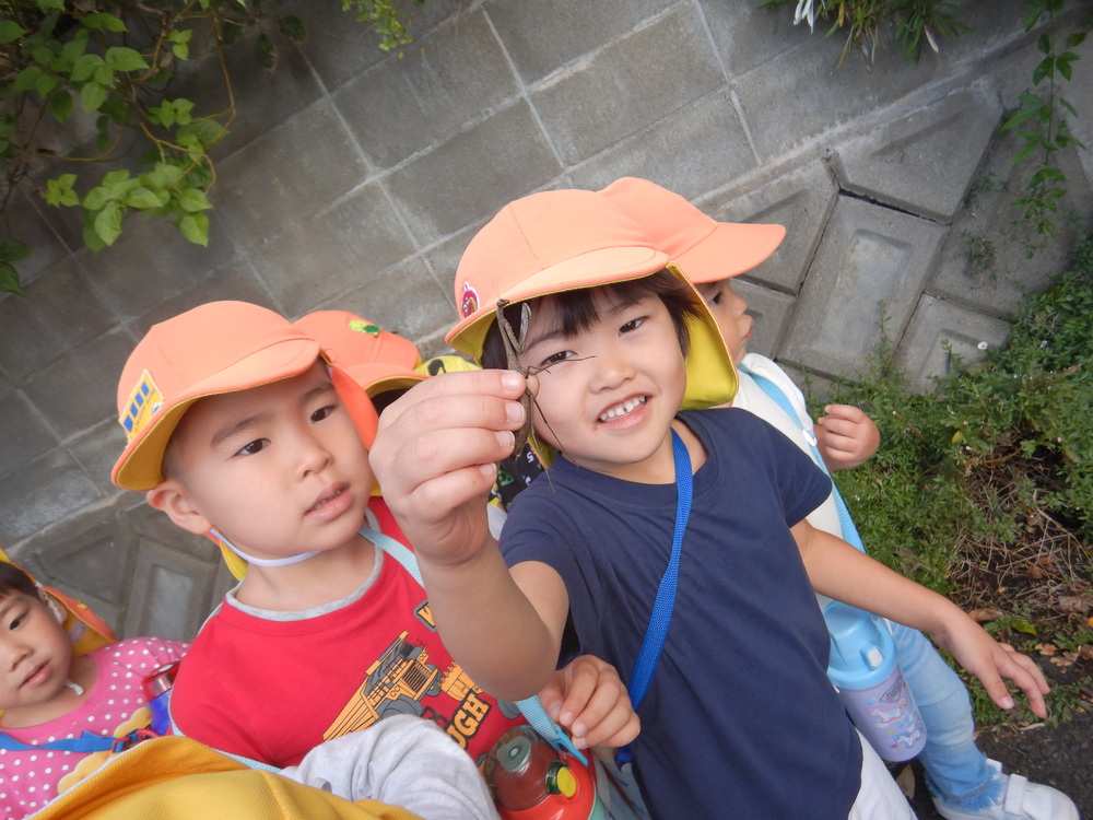 カマキリを捕まえる子ども