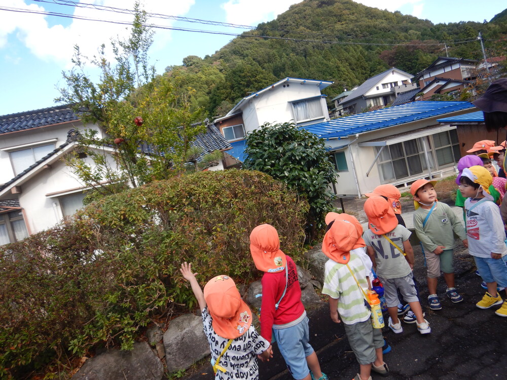 ザクロを見つけた子ども