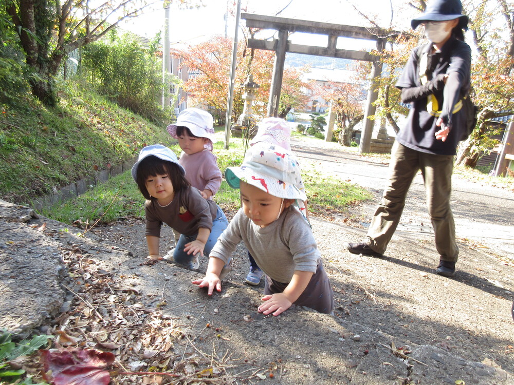 散歩の様子（喜多ノ宮） 