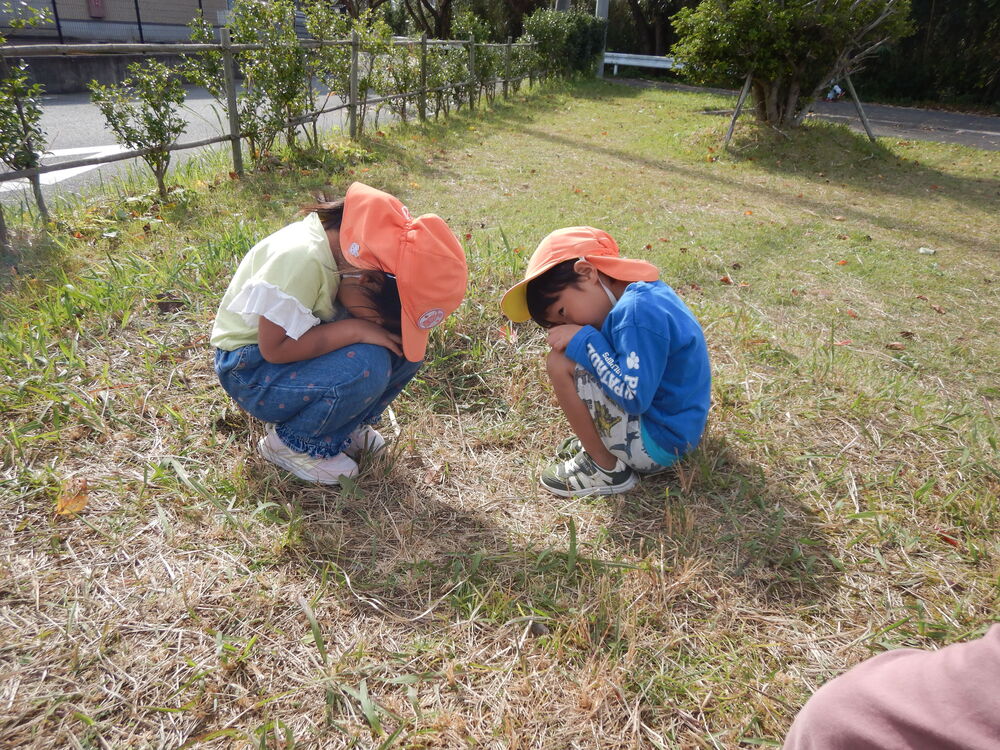 鳥になる