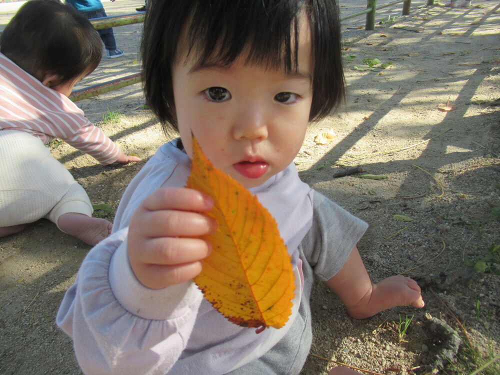 大田小へ散歩 (6)