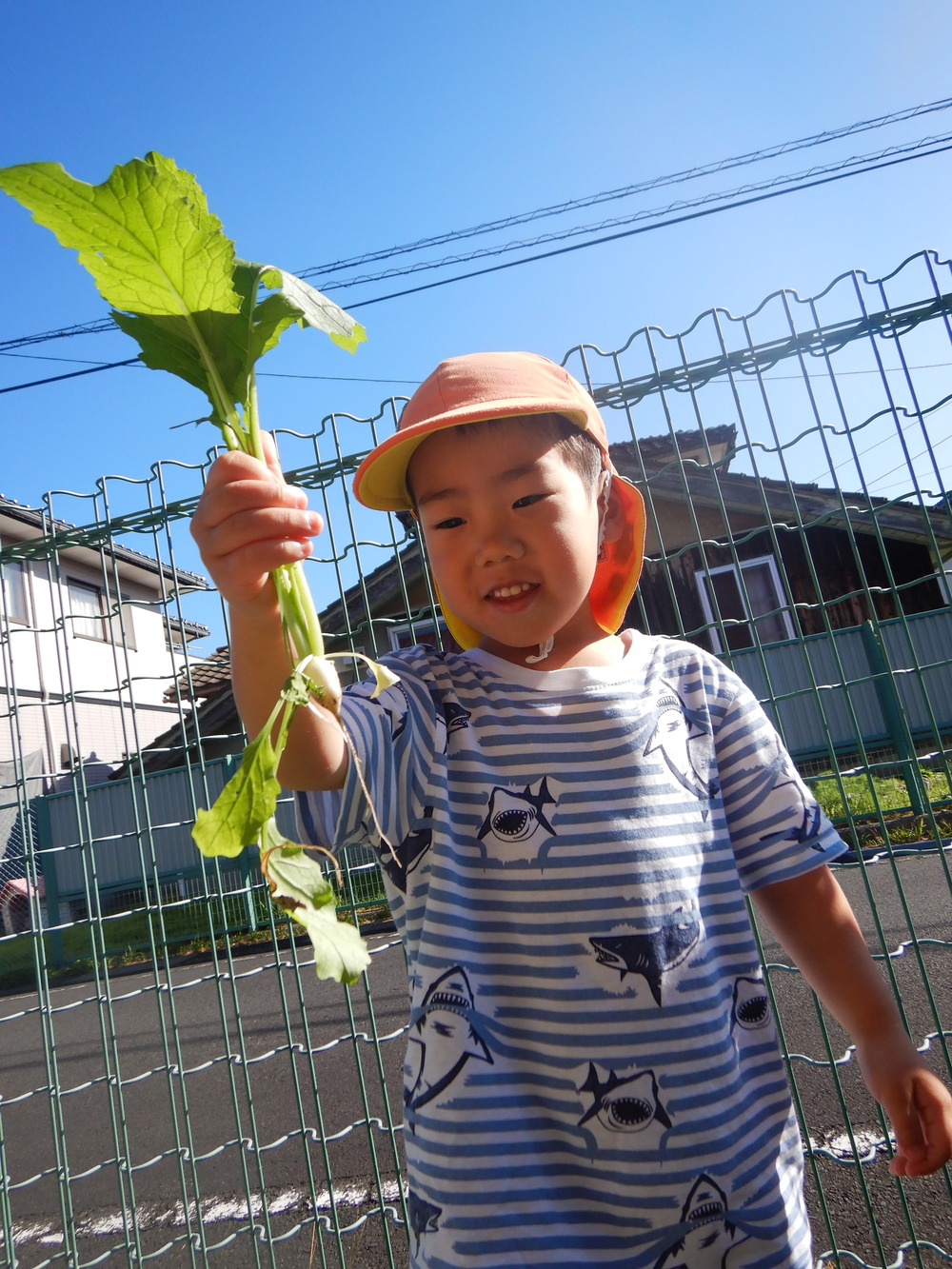 間引き