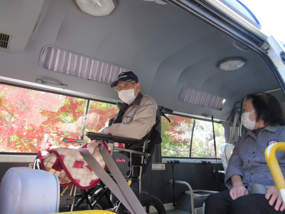 車内から紅葉を見ている様子