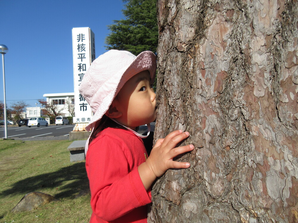 散歩（市民会館）の様子 