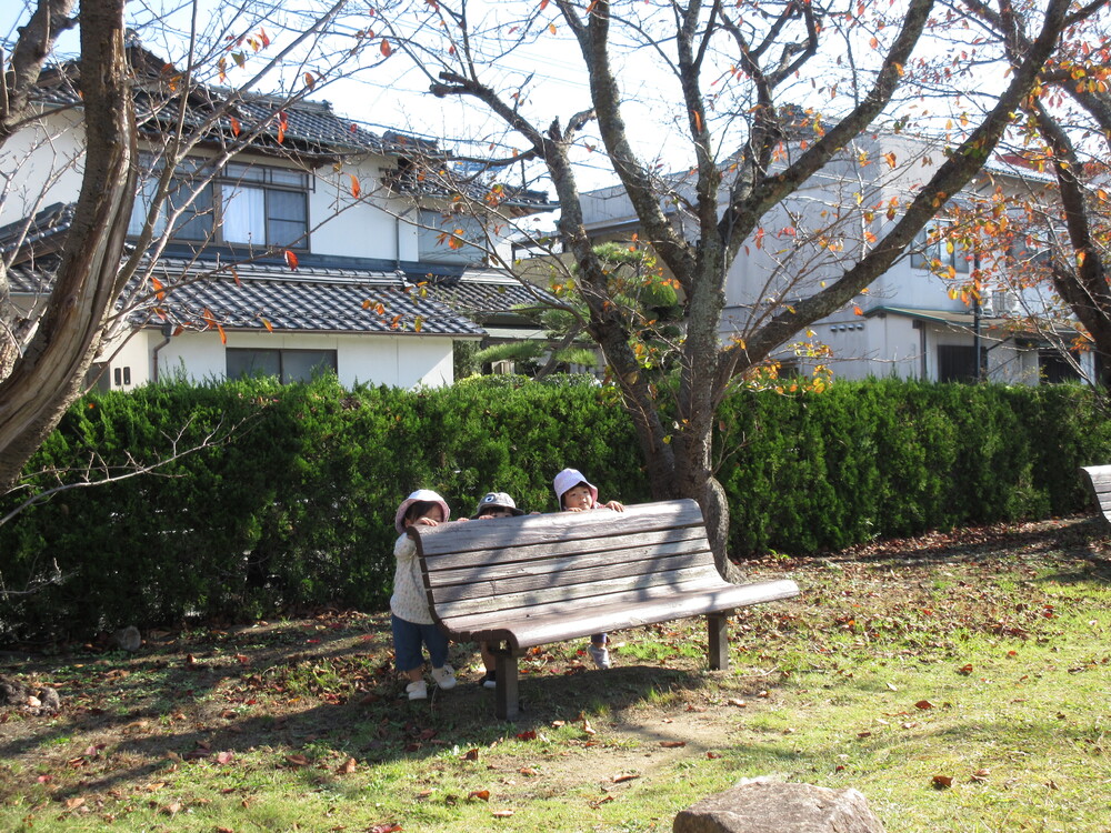 散歩（市民会館）の様子 