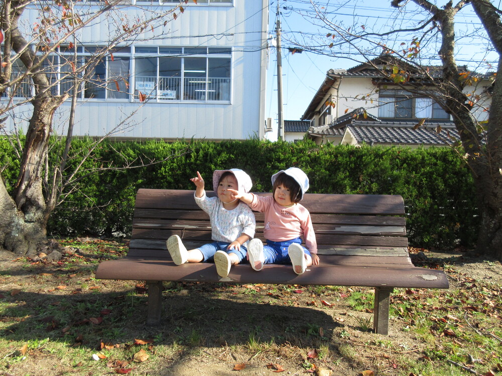 散歩（市民会館）の様子