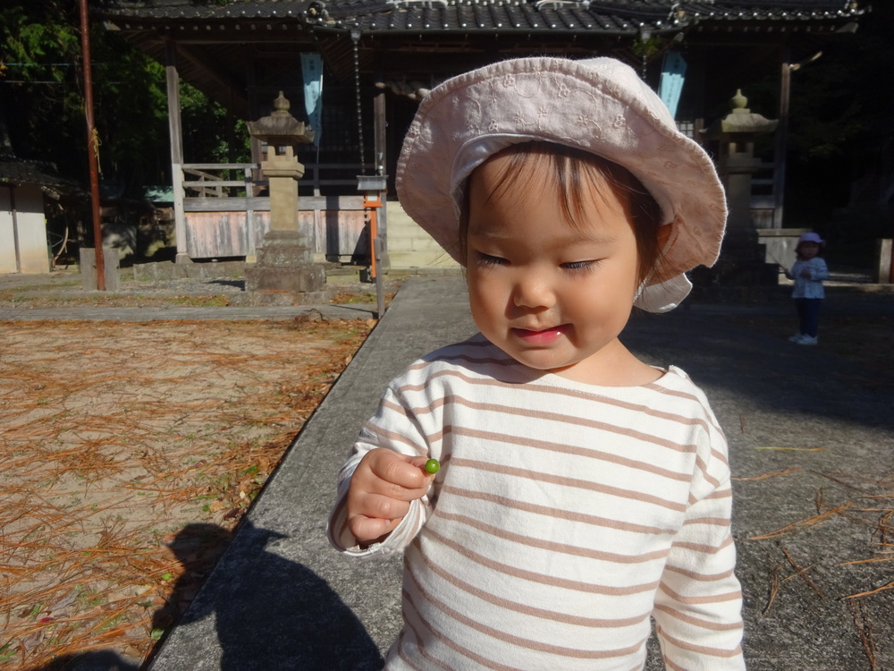 葉っぱや木の実を見つけた子ども (2)