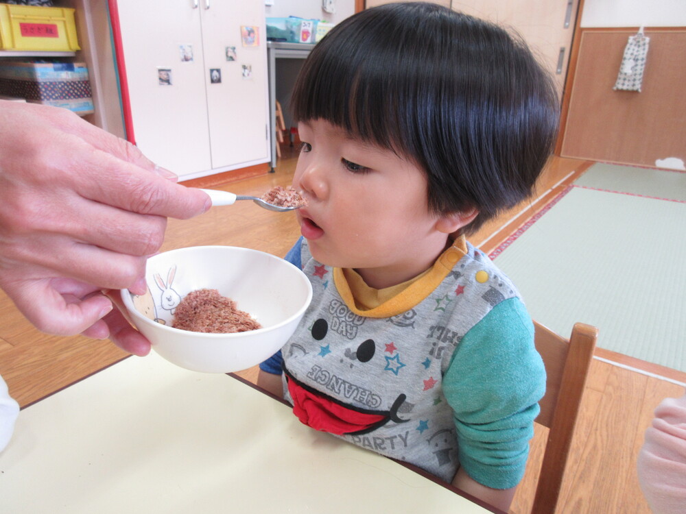 おかかおにぎりを作る様子
