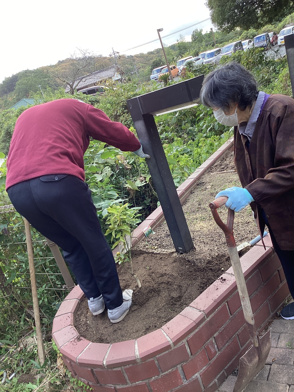 植樹