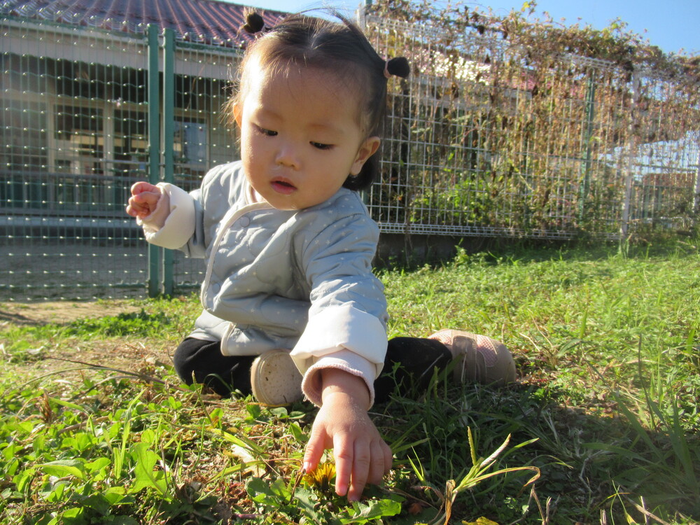 新園庭で遊んでいる様子 (3)