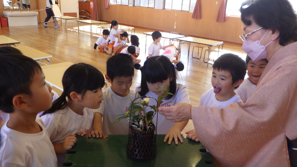 お茶のお稽古