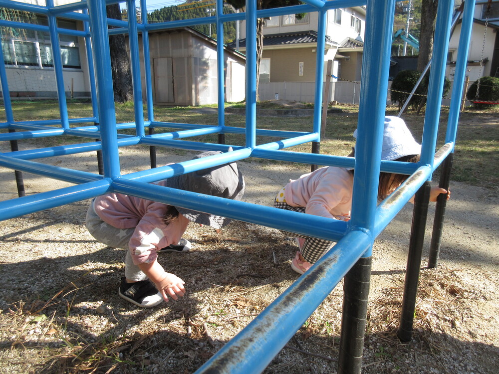 散歩の様子(大田小学校)