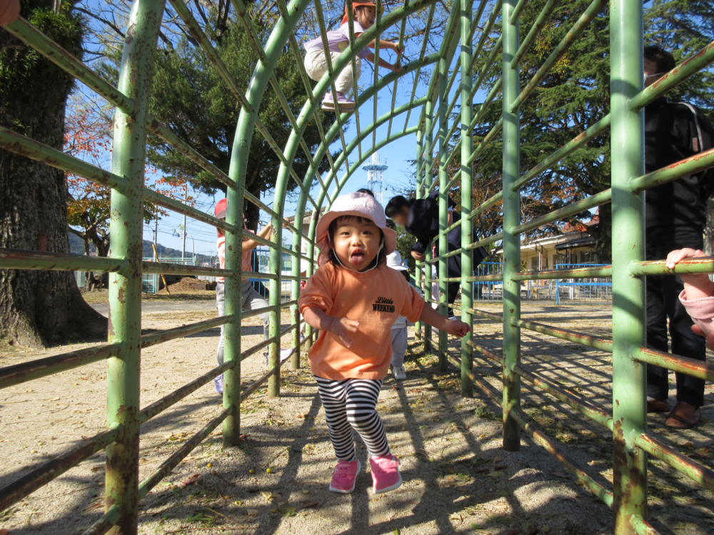 散歩の様子(大田小学校)