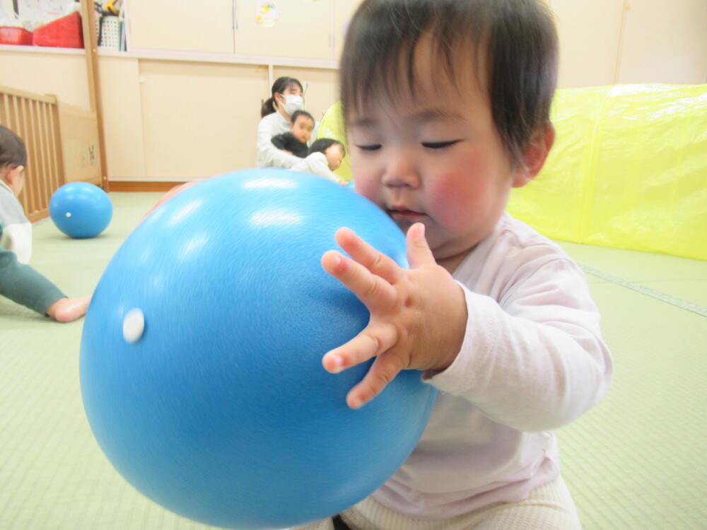 ボールで遊んでいる様子 (7)