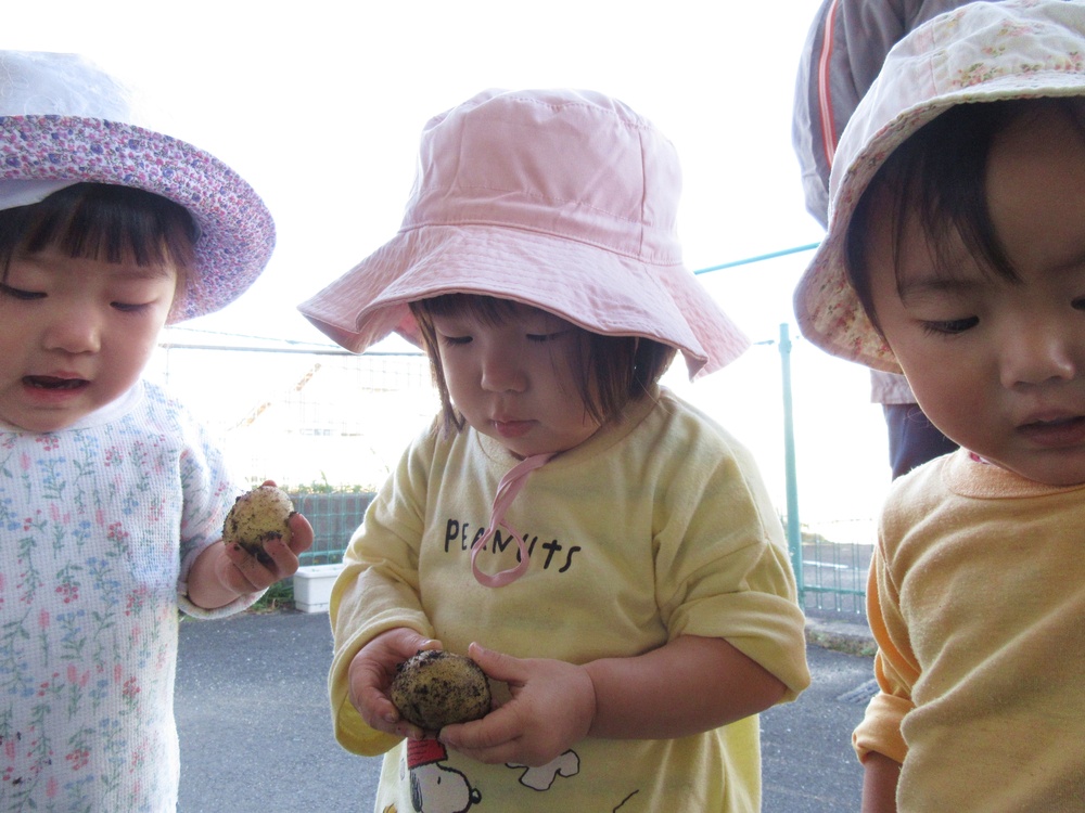 じゃがいもの収穫