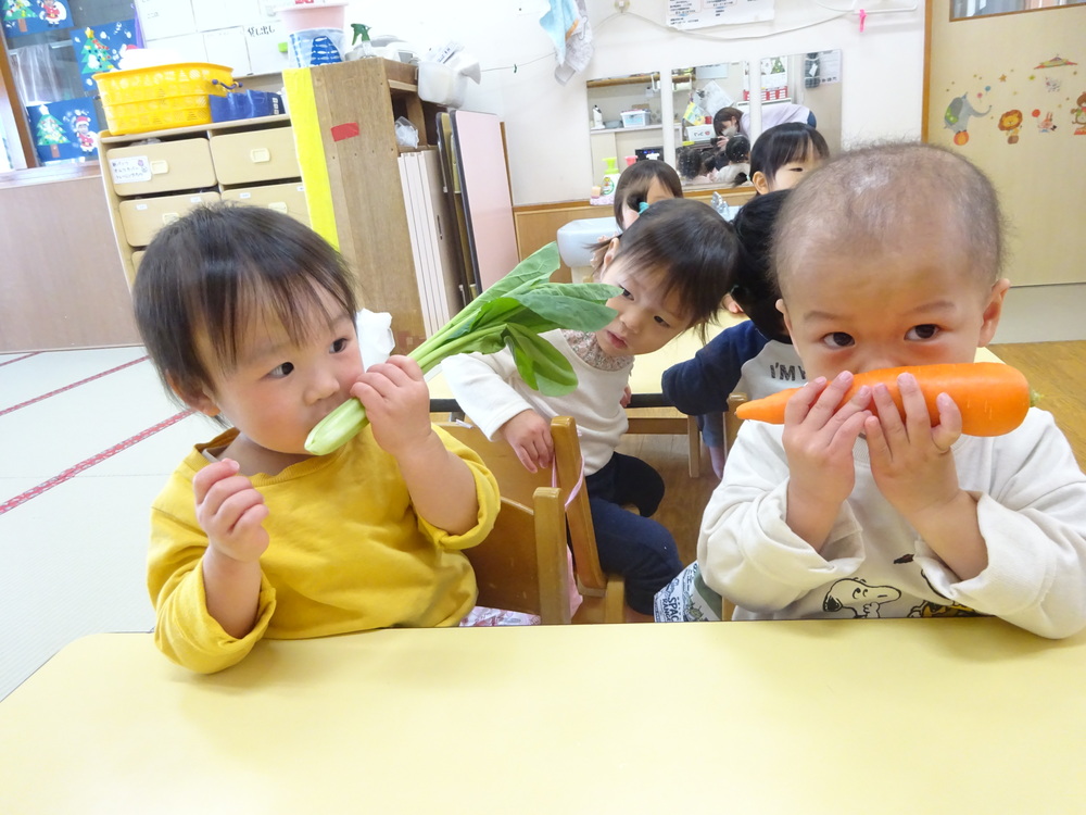 野菜を触っている子ども (1)