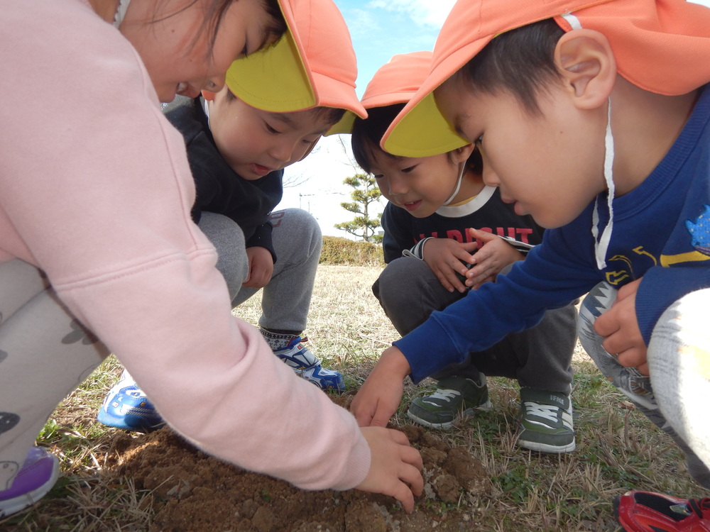 公園の土を観察している