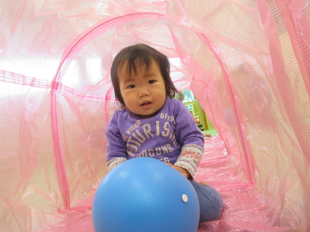 カラートンネルとボールで遊んでいる (2)