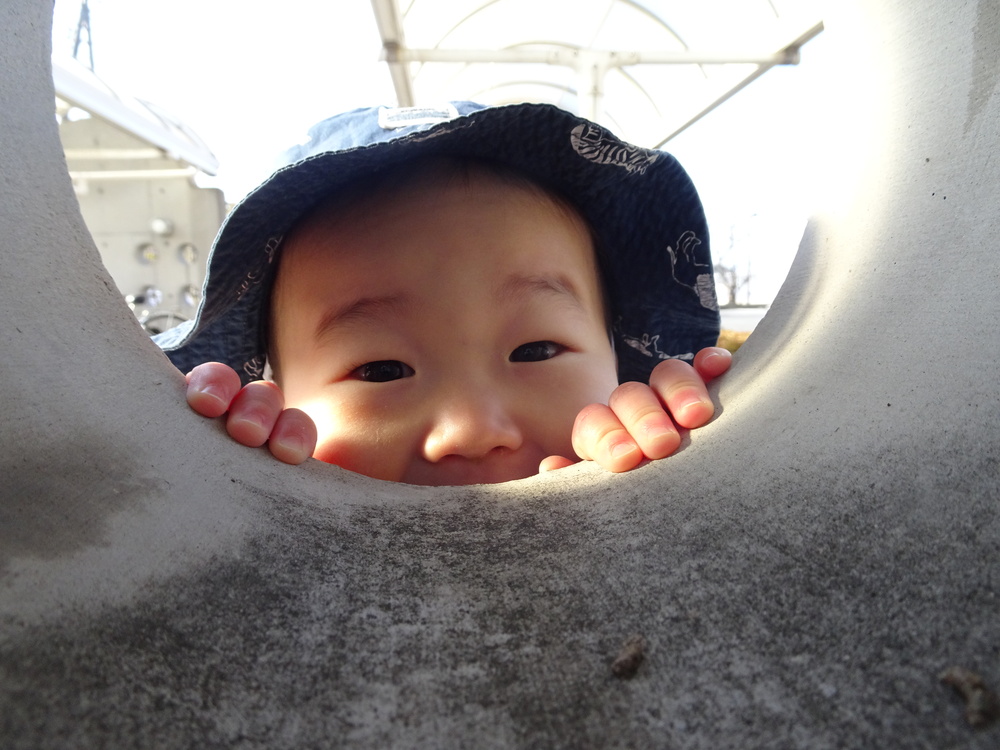 新春初散歩 (10)