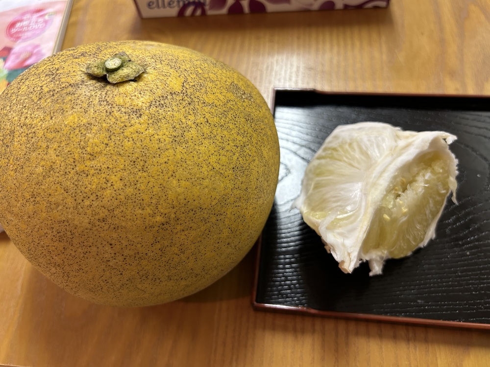 ザボン